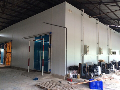 Lắp đặt kho lạnh tại Đà Nẵng và các tỉnh miền Trung
